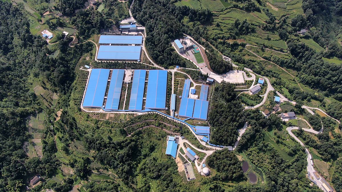 自動雙量程 分析天平PTY系列